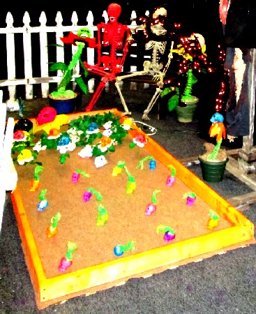 The Skeleton Garden and Plants